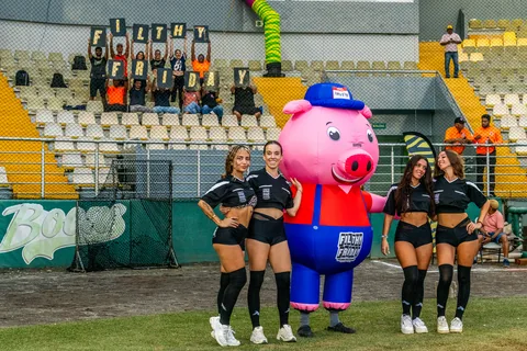 A pink pig mascot and dancers on the baseball field